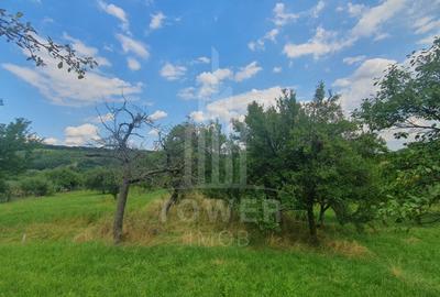 Teren extravilan de 594 mp, în Sibiel - 5