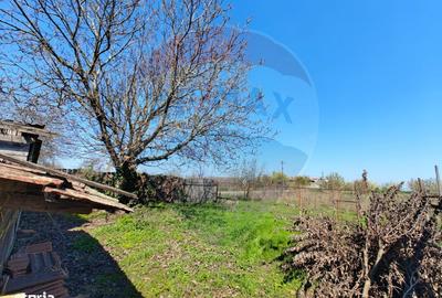 Casă cu 3 camere în Mailat - 1