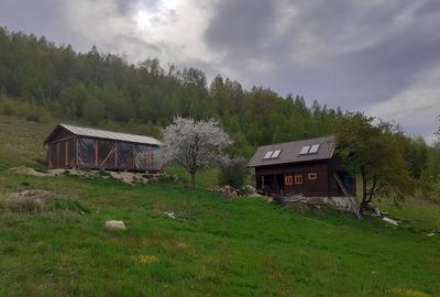 Casă în Plopi - 4