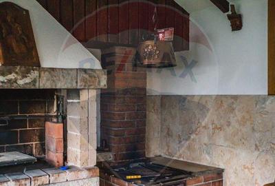 Casa / Vila de vanzare in Horodnic de Sus - 9