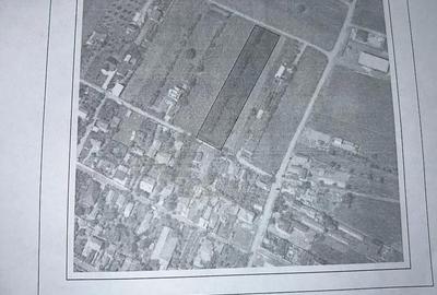 Teren de 1500 mp, în Potoceni - 1