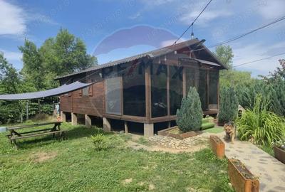 Casă cu 3 camere cu Teren 1268 Mp în Săpânța - 6