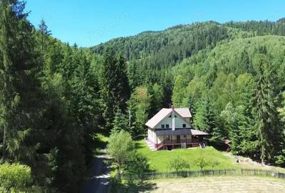 Casa de Vacanta in Bucovina! Munte - Rarau! De Vanzare! 0727817187 Casa de Vacanta in Bucovina! Munte - Rarau! De Vanzare! 0727817187 - 3