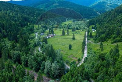 Ferma de vanzare, teren 21436 mp intravilan, Cosnea, Agas - 10