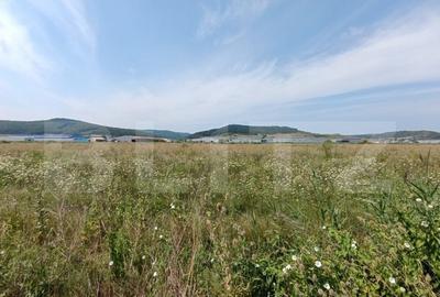 Teren intavilan , zona Industriala - 7