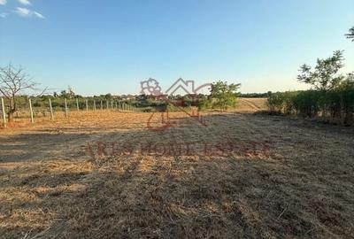 Teren intravilan 2.192 mp cu front 20 m – Seceani, Timiș - 4