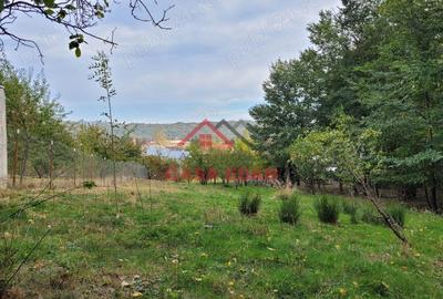 Casă cu Teren 2017 Mp în Breaza - 3