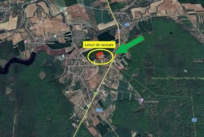 Teren Construcții intravilan de 1000 mp, în Ciolpani - 4