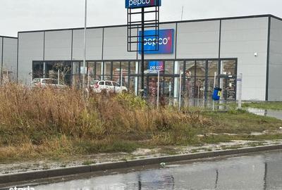 Teren de 1000 mp, în Ștefăneștii de Jos - 11