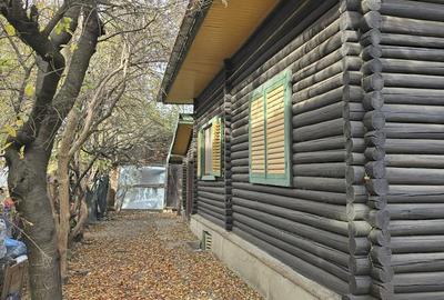 Casă cu 7 camere cu Teren 3800 Mp în Central - 17