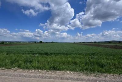 Teren de 10000 mp, în Rădăuți - 3