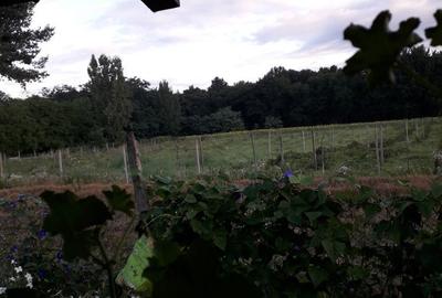 Teren de 1500 mp, în Nord-Vest - 2