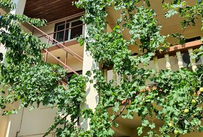 Casă individuală cu 9 camere cu Canalizare în Doamna Ghica