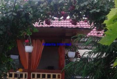 CASA DE VANZARE OVIDIU - 4