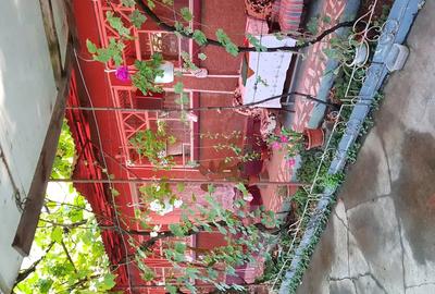 Casă cu 3 camere în Șicula - 7