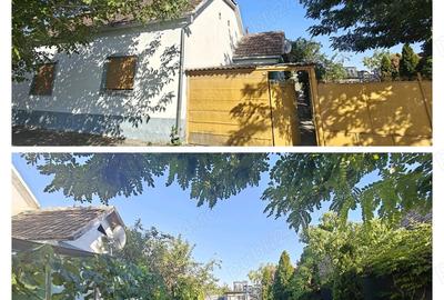 Vand casa la Checea 1600 mp