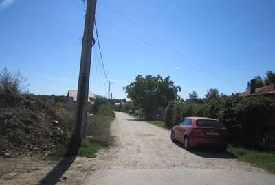 Domnesti Teghes-Padurarului - 2