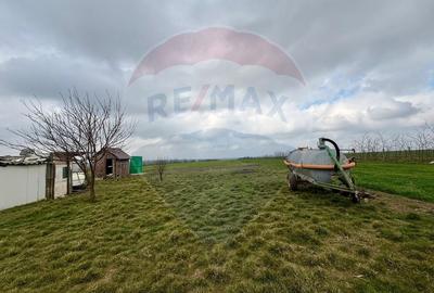 Teren agricol extravilan de 60000 mp, în Săcele - 12