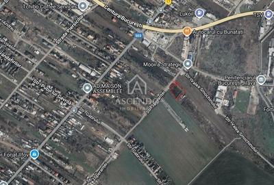 Teren Intravilan 3.000 mp Jilava  Investiție sau Rezidențial - 1