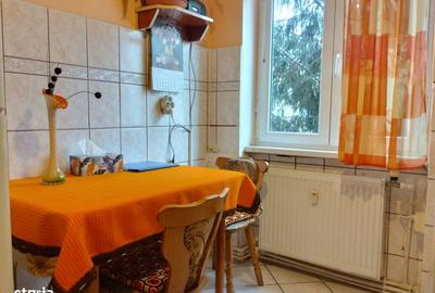 Apartament cu 2 camere în Gojdu - 8