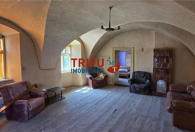 Casă cu 4 camere cu Teren 5000 Mp în Cricău - 6