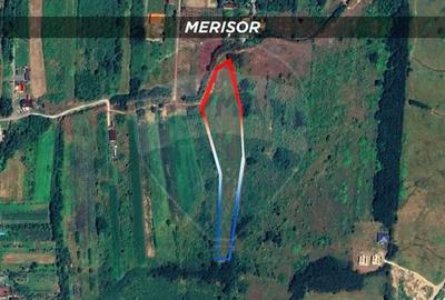 Teren Construcții intravilan de 10000 mp, în Merișor - 2