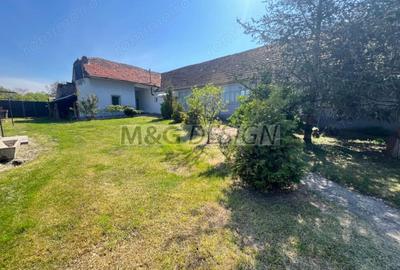 Casă cu 4 camere cu Teren 2807 Mp în Dudeștii Noi - 12