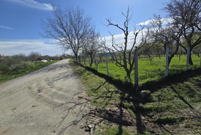 Teren Construcții intravilan de 1300 mp, în Curtișoara - 15