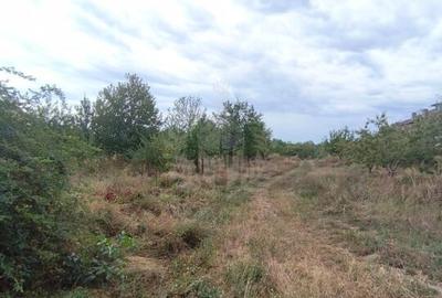 TEREN PAULESTI//17211 MP// INTRAVILAN - 3