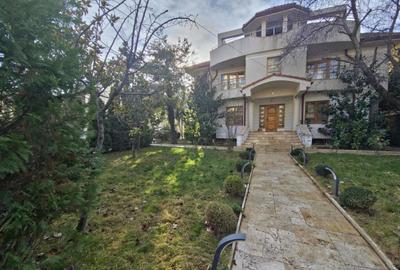 Vila unica zona Stadion piscina teren 1200 mp - 9