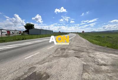 Teren Construcții intravilan de 5360 mp, în Exterior Sud - 1