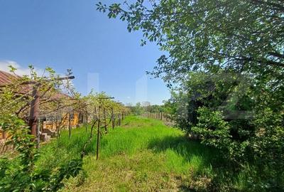 Teren de vanzare, 7300 mp, zona Danesti - 3