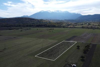 TEREN INTRAVILAN ZONA PENNY - 10