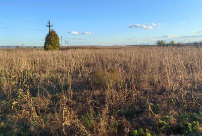 Spațiu comercial, în Central - 1