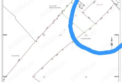 Casă cu 4 camere cu Teren 1200 Mp în Gura Foii - 1