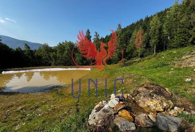 18000 mp de natura pura ,Lupeni, langa Straja - 6