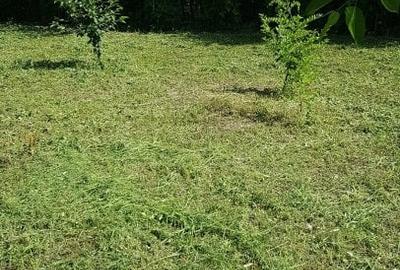 Sarata, Dealu Nou, teren 2800mp - 3