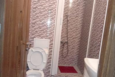 Apartament cu 2 camere decomandat, mobilat în Gara - 9