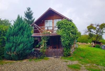 FILM! Resedinte montane,mobilate,echipate, jacuzzi,piscina,pretios areal,Sambata - 3