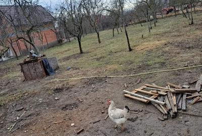 Casă cu 2 camere în Central - 1