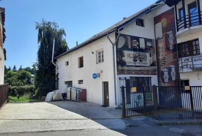 Vand cladire in Curtea de Arges, centru, 595000 euro - 8