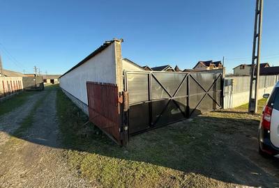 Spatiu comercial productie depozitare la 20 min de pitesti in poiana lacului - 3