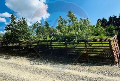 Teren 1,600mp Sighetu Marmatiei / Strada Doboies - 1