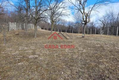 Teren intravilan in Cornu--2991mp--29e - 3