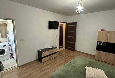 Garsonieră în Ultracentral - 5