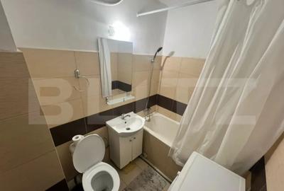 Garsonieră semidecomandată în Brazda lui Novac - 5