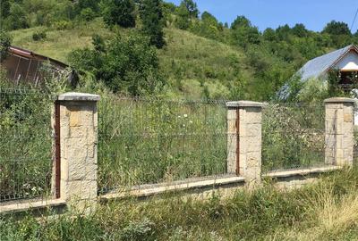Teren de 4364 mp, în Șerpeni - 3