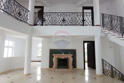 Casa / Vila de lux de vanzare in zona in zona Titulescu - 11