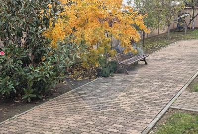 Inchiriere casa cu terasa si curte zona Piata Mica Spitalul Judetean - 26