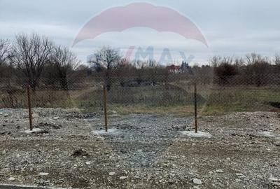 Teren Construcții intravilan de 500 mp, în Vlădiceasca - 4